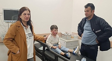 Sahipsiz köpeğin saldırısına uğrayan çocuk yaralandı