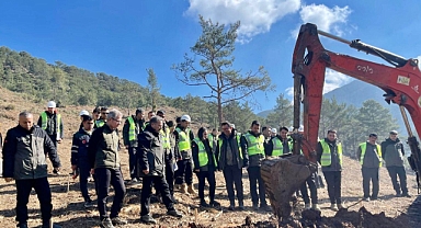 Kızılçam ve Fıstıkçamı Bakım Uygulamaları Eğitimi Düzenlendi