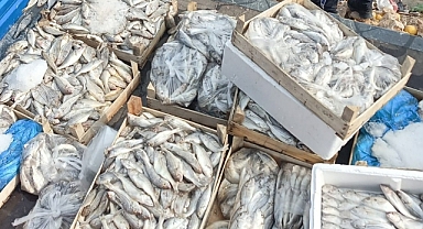 Sağlıksız oldukları belirlenen 16 kasa balık imha edildi