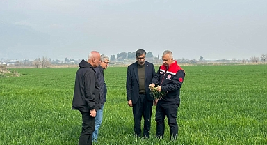 Türkmen'den Buğday Arazilerinde İnceleme