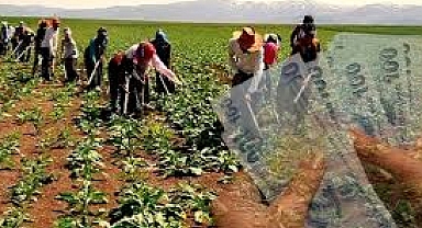 Mevsimlik Kadın Tarım İşçileri İçin En Düşük Ücret Hatay’da
