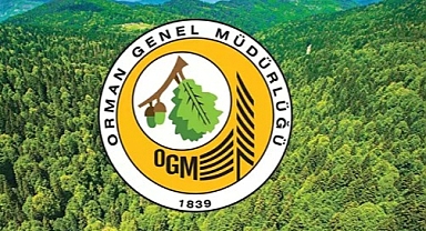ORMAN İŞLETME MÜDÜRLÜĞÜ