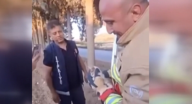 Ağaçta Mahsur Kalan Kedi Yavrusu Kurtarıldı