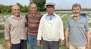 Arıcılar bal hasadına başladı