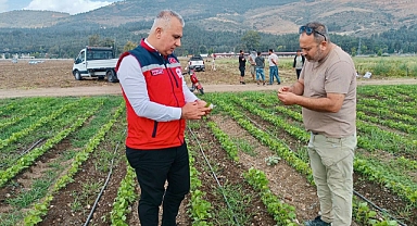 Hatay’da Soya Üretimine Yakın Takip