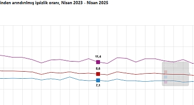 İşsizlik Oranı %8,6’ya Yükseldi