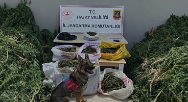 Jandarmadan Zehir Tacirlerine Ağır Darbe