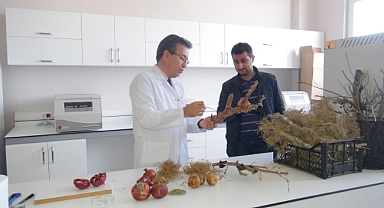 MKÜ BİTKİ SAĞLIĞI KLİNİĞİ’NE YETKİ VERİLDİ
