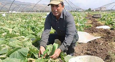MÜDÜRLÜK MAĞDUR ÇİFTÇİLERİ UYARDI