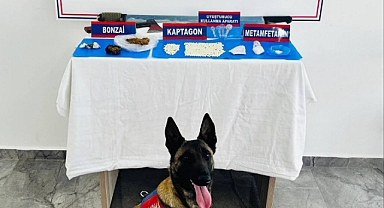 NARKOTİK KÖPEĞİ UYUŞTURUCU YAKALADI