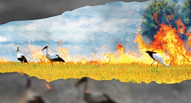 Toprağını Yakma, Geleceğini Karartma