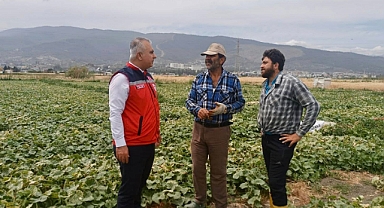 Türkmen'den Kabak Hasadı Yapan Üreticilere Ziyaret