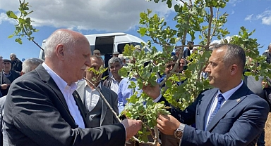 TZOB Genel Başkanı Bayraktar, zirai dondan etkilenen meyve bahçelerini inceledi
