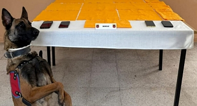 Uyuşturucu operasyonunda yakalanan 13 zanlı tutuklandı