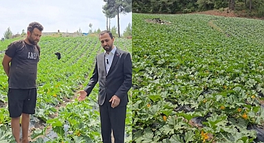 YALÇIN’DAN SÜRDÜRÜLEBİLİR TARIM ATAĞI