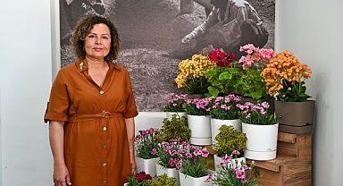 Yıl boyunca çiçekli kalan iki yeni karanfil çeşidi geliştirildi