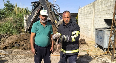 Yürek Isıtan Kurtarma Operasyonu