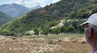 15 yıldır hasat döneminde gelen