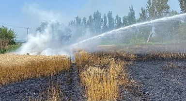 20 dönümlük buğday tarlası zarar gördü
