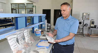6 ŞUBAT’IN ARTIKLARI MERMERE DÖNÜŞECEK