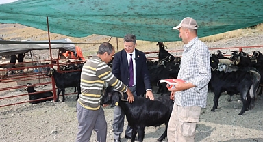 Başkan Amaç’tan Kurban Bayramı Öncesi Canlı Hayvan Pazarı Ziyareti
