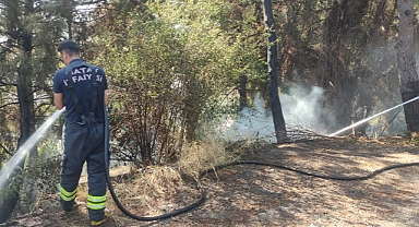 Çamlık Alanda Çıkan Yangınlar Söndürüldü