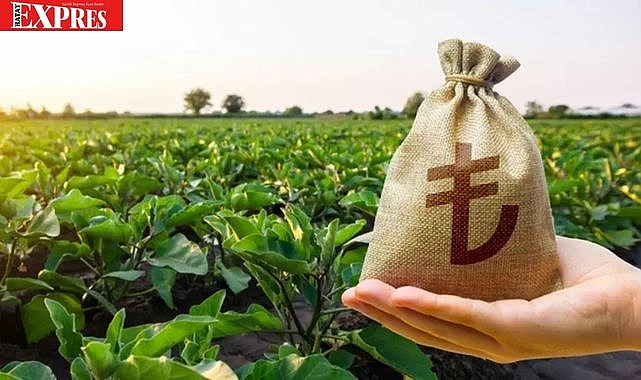 Çiftçiye Dev Destek:5,5 Milyar TL’lik Destek Ödemesi!