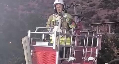 Direkte Mahsur Kalan Kediyi İtfaiye Kurtardı