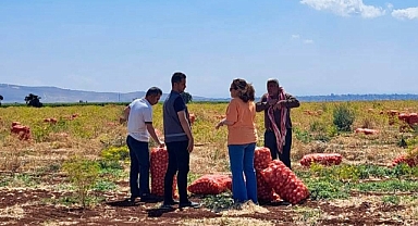 Hatay’da İyi Tarım Uygulamaları Denetlendi