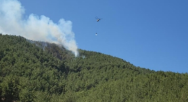 Hatay'da orman yangını havadan müdahaleyle kontrol altına alındı