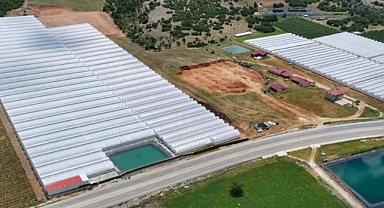 Kuraklığa