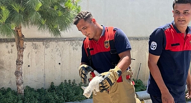 Motor Kaputundaki Yavru Kediye İtfaiye Ekipleri Umut Oldu