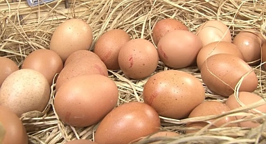 Nisan Ayında Tavuk Eti Üretiminde Artış, Yumurta Üretiminde Düşüş Yaşandı