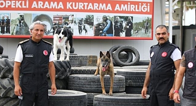 Ödüllü arama kurtarma köpekleri AFAD'ın sınavına hazırlanıyor