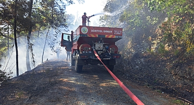 Orman Yangını Kontrol Altına Alındı