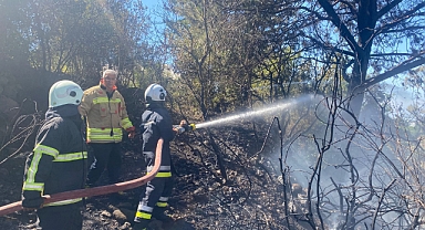 Ormanlık Alanda Çıkan Yangın Söndürüldü