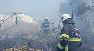 Samandağ’da Sazlık Alanda Yangın Paniği