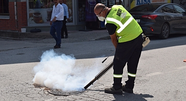 Sivrisinek Ve Haşereye Geçit Yok