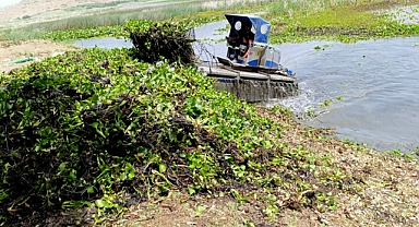 Su Sümbülü Temizliği Gölbaşı'na Umut Oldu