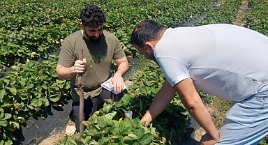 Su Tasarrufu ve Verimlilik Artıyor