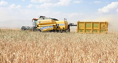 Tarım-ÜFE Mayıs Ayında Yıllık Bazda %28,96 Arttı