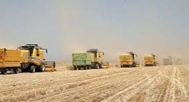 TMO 2025 Hububat Alım Fiyatlarını Açıkladı