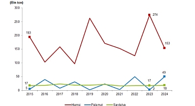 Türkiye’de Su Ürünleri Üretimi Geriledi