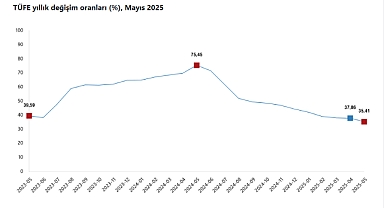 Yıllık Enflasyon %35,41'e Ulaştı