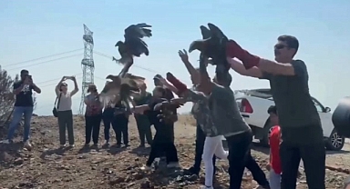 11 Yabani Kuş Doğaya Salındı