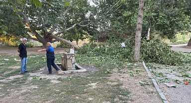 Ağacın Dalı Vatandaşların Üzerine Devrildi: 11 yaralı