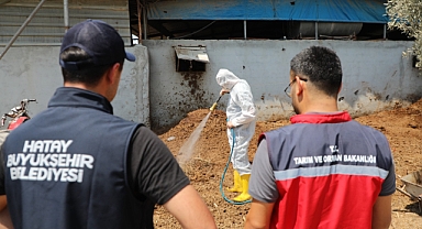 Akdeniz Meyve Sineğiyle Mücadelede Üreticiye Destek