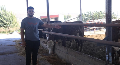 Anguslar, Aşırı Hırçın Oluyor, Görenler Kaçsınlar