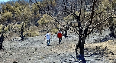 Antakya'daki Yangının Ardından Hasar Tespit Çalışmaları Başladı