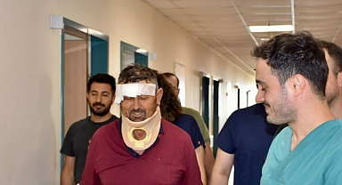Aslanın saldırması sonucu yaralanan kişi taburcu edildi